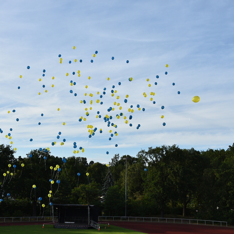 Bunte Luftballons in Blau und Gelb schweben am Himmel &uuml;ber einem Sportplatz mit B&auml;umen im Hintergrund.