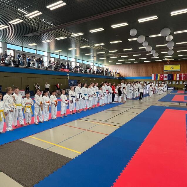 Karateka in wei&szlig;en Anz&uuml;gen stehen in Reihen auf blauer und roter Matte, Zuschauer sitzen an der Trib&uuml;ne im Hintergrund.