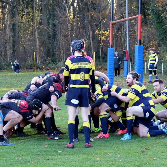 Rugby-Spieler in einem Scrum auf einem gr&uuml;nen Spielfeld, umgeben von B&auml;umen und Zuschauern im Hintergrund.