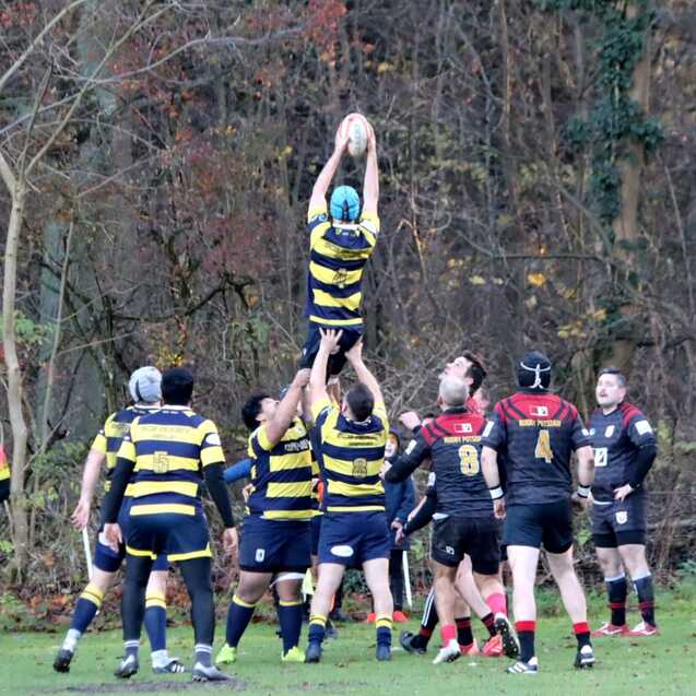 Spieler in gestreiften Trikots springen hoch, um einen Rugbyball w&auml;hrend eines Matches auf einem gr&uuml;nen Feld zu fangen.