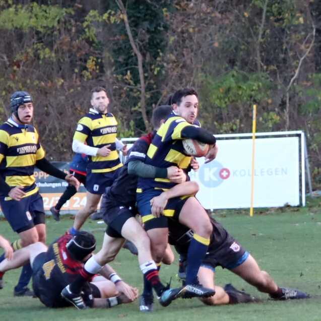 Rugby-Spieler in gelb-blauen Trikots k&auml;mpfen um das Spielger&auml;t auf dem Platz, w&auml;hrend andere Spieler am Boden liegen.