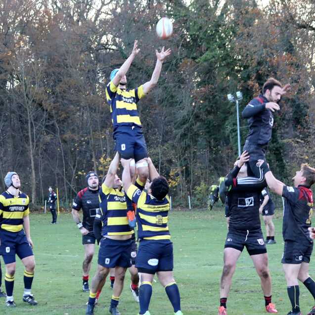 Rugbyspieler heben einen Mitspieler w&auml;hrend eines Spiels in einer gr&uuml;nen Landschaft mit B&auml;umen im Hintergrund.