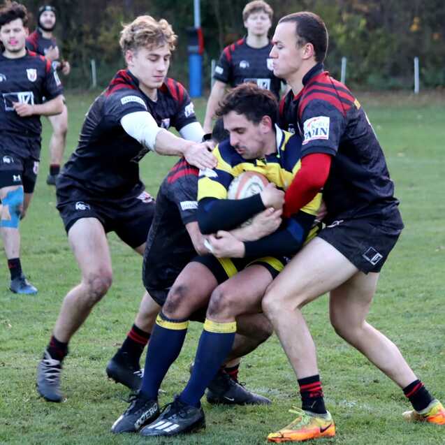 Rugby-Spieler in einem intensiven Tackling, zwei Spielern im schwarzen Trikot dr&uuml;cken einen Spieler im gelben Trikot zu Boden.