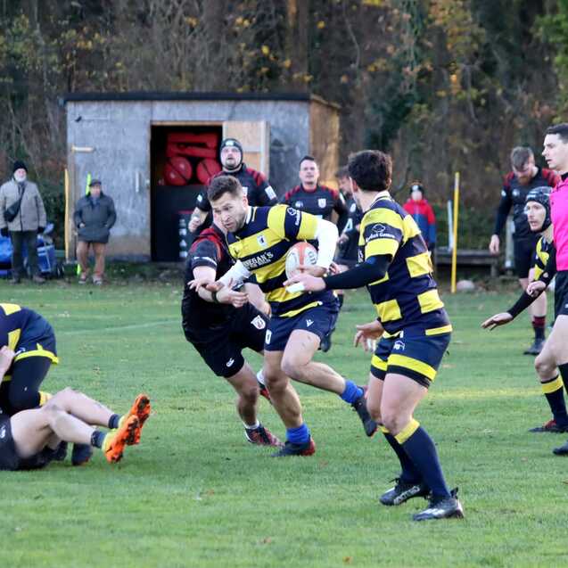 Rugbyspieler in gelb-schwarzen Trikots k&auml;mpfen um den Ball auf einem gr&uuml;nen Spielfeld, im Hintergrund Zuschauer und Trainer.