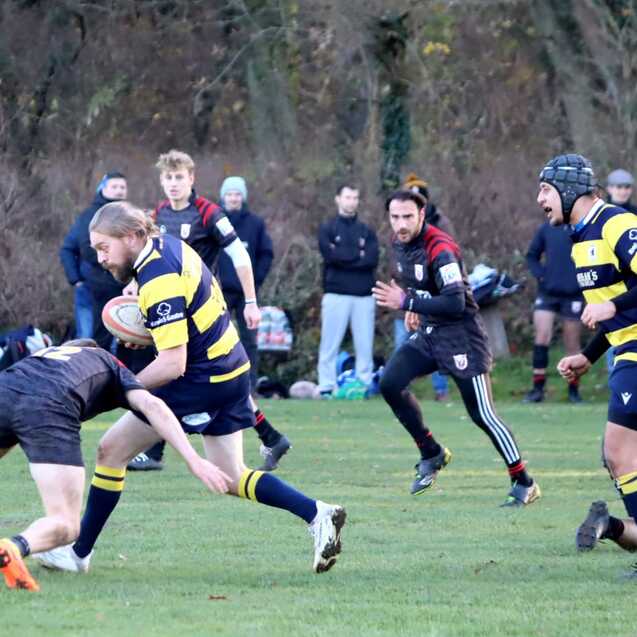 Rugby-Spieler in blauen und gelben Trikots k&auml;mpfen um den Ball auf einem gr&uuml;nen Spielfeld, Zuschauer im Hintergrund.
