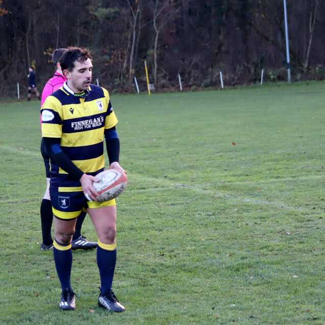 Rugbyspieler in gelb-blauem Trikot h&auml;lt einen Rugbyball auf einem gr&uuml;nen Spielfeld. Hintergrund mit B&auml;umen.