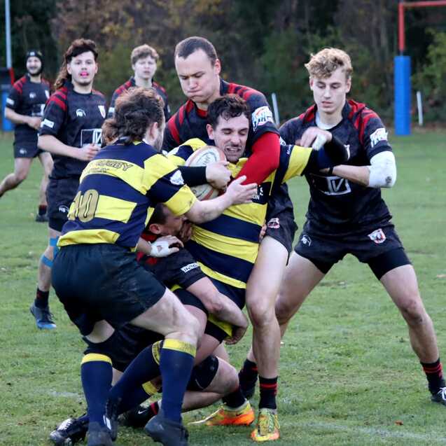 Rugby-Spieler in gelb-blauen Trikots k&auml;mpfen um den Ball, w&auml;hrend Gegner in schwarz sie tackle. Gesichtsausdr&uuml;cke sind angespannt.