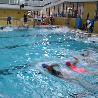 Mehrere Schwimmer in Badekleidung und Schwimmkappen schwimmen im Wasser eines Schwimmbeckens.