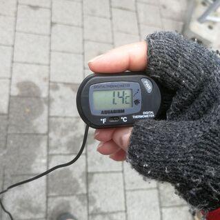 Hand mit einem digitalen Thermometer, das 14&deg;C anzeigt, auf einem gepflasterten Boden. ডিসসময়