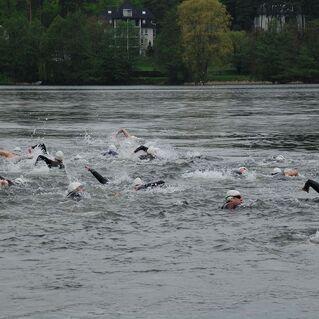 Gruppe von Schwimmern in Neoprenanzügen bei einem Wettkampf in einem See mit Bäumen im Hintergrund.