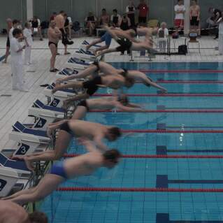 Schwimmer springen gleichzeitig von den Startblöcken in ein Schwimmbecken während eines Wettkampfs.