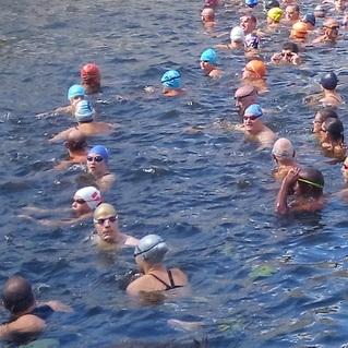 Gruppe von Schwimmern in bunten Badekappen, die in einem Gewässer schwimmen.