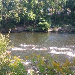 Schwimmer paddeln im klaren Wasser eines Flusses, umgeben von grünen Bäumen und bunten Pflanzen am Ufer.