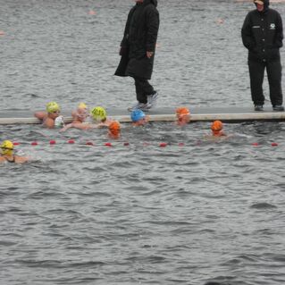 Gruppe von Schwimmern in Farbkappen schwimmt im See, während Trainer am Steg beobachtet.