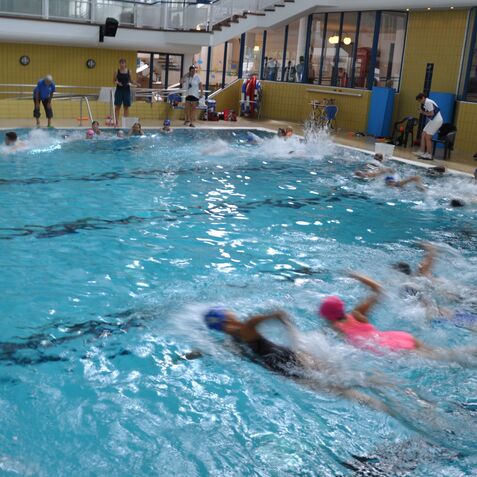 Schwimmer in einem Wettkampfbecken, spritzend mit blauen und pinken Badekappen, umgeben von Zuschauern.