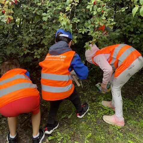 Drei Kinder in orangefarbenen Warnwesten sammeln Früchte unter einem Strauch in einer grünen Umgebung.