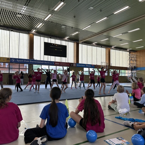 Kinder in pinken T-Shirts f&uuml;hren eine Gymnastikauff&uuml;hrung auf einer Matte in einer Sporthalle auf, Zuschauer beobachten.