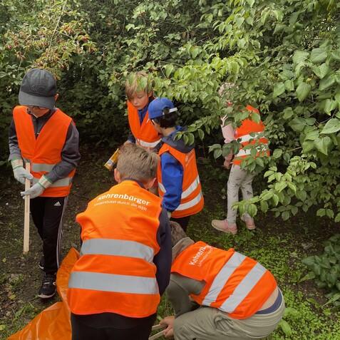 Sechs Kinder in leuchtenden Weste sammeln Abfall in einem dichten, gr&uuml;nen Geb&uuml;sch.