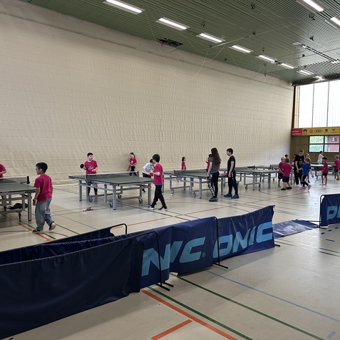 Gruppentraining f&uuml;r Kinder im Tischtennis mit mehreren Tischen in einer Sporthalle. Teilnehmer in pinken T-Shirts.