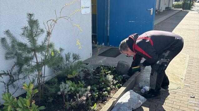 Mann arbeitet im Vorgarten, umgeben von Pflanzen, während er ein Pflanzgefäß mit Blumen vorbereitet.