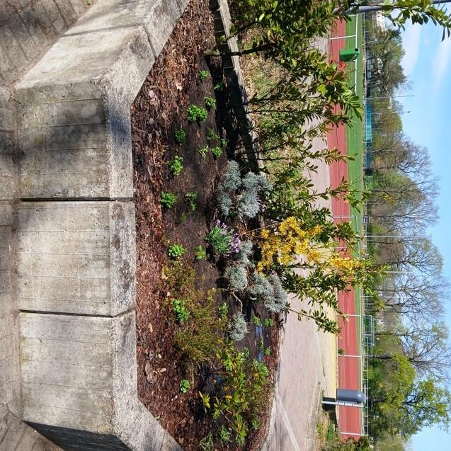 Bepflanzung in einer Blumeneinfassung, im Hintergrund ein Sportplatz unter blauem Himmel.