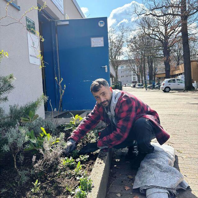 Mann pflanzt Blumen in einem öffentlichen Garten vor einem Gebäude mit blauer Tür unter einem sonnigen Himmel.