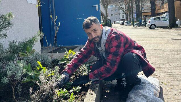 Mann pflanzt Blumen in einem öffentlichen Garten vor einem Gebäude mit blauer Tür unter einem sonnigen Himmel.