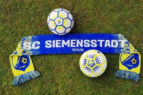 Zwei Fu&szlig;b&auml;lle und ein Fan-Schal des ISC Siemensstadt liegen auf gr&uuml;nem Rasen.