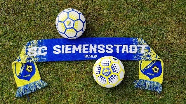 Zwei Fu&szlig;b&auml;lle und ein Fan-Schal des ISC Siemensstadt liegen auf gr&uuml;nem Rasen.
