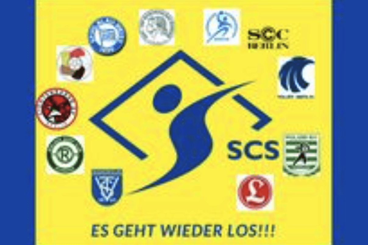 Grafik für die Saison 2024/25 der Handball-Landesliga Männer B mit Vereinslogos auf gelbem Hintergrund.