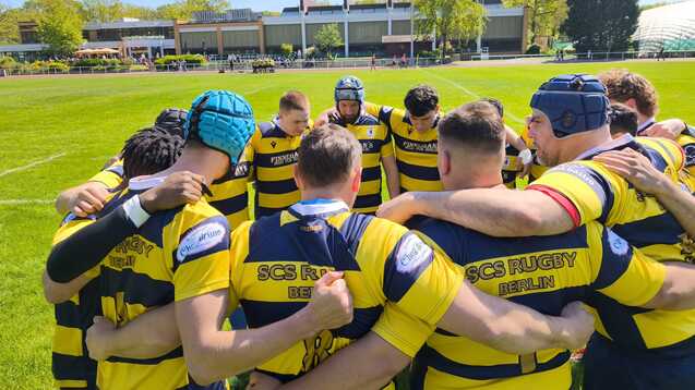 Rugby-Team in gelb-blauen Trikots bildet eine huddle auf einem grünen Platz unter blauem Himmel.