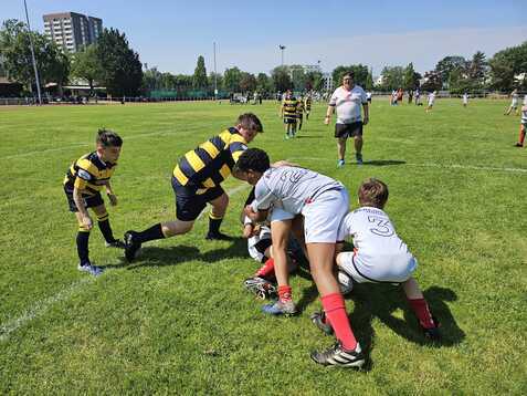 Rugby-Spieler in gelb-schwarz gestreiften Trikots versuchen, den Ball aus einem Gedränge zu erlangen, auf einem grünen Feld.