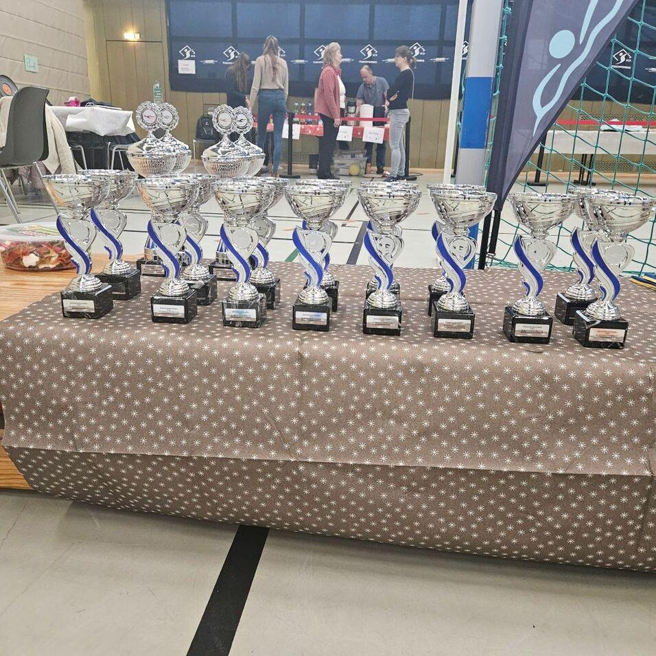 Reihe von silbernen Pokalen auf einem braunen Tisch mit wei&szlig;em Muster, im Hintergrund Personen bei einer Veranstaltung.