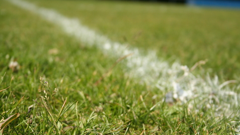 Nahaufnahme von frisch gemähtem Rasen mit einer weißen Linienmarkierung auf einem Fußballfeld.
