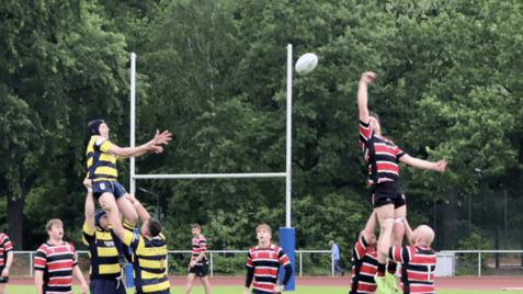 Rugby-Spieler in gelb-blauen Trikots heben einen Teamkollegen, während ein Spieler in schwarz-rot gestreiftem Trikot springt.