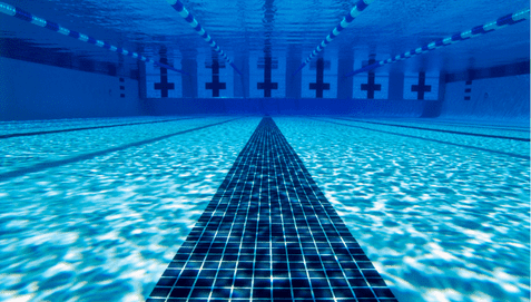 Blick auf den Swimmingpoolboden mit klar blauem Wasser und schwarzen Fliesenlinien im Schwimmbecken.