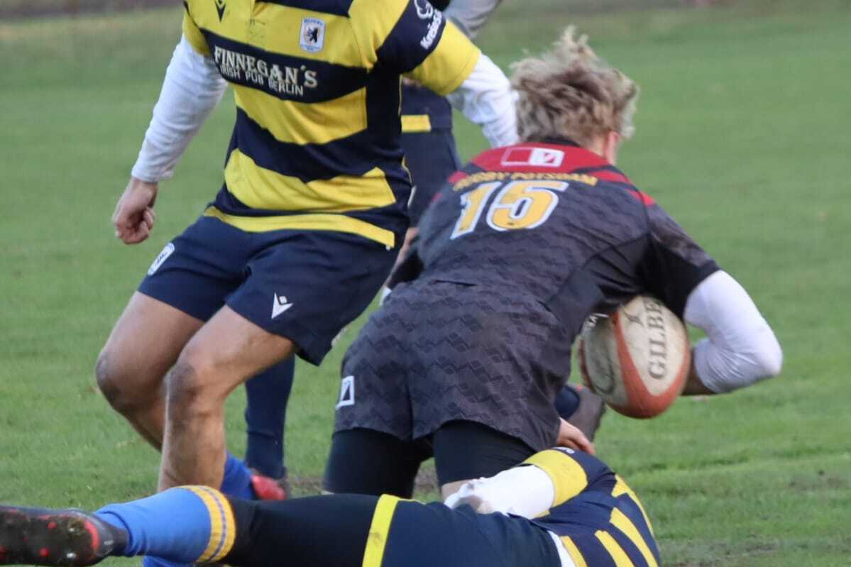 Zwei Rugbyspieler in blau-gelben Trikots k&auml;mpfen um den Ball auf einem gr&uuml;nen Spielfeld, w&auml;hrend ein dritter Spieler sie beobachtet.