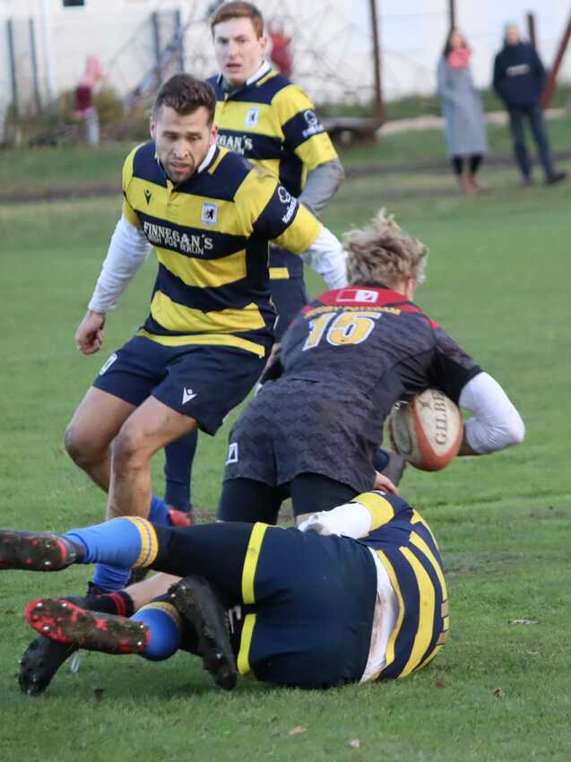 Zwei Rugbyspieler in blau-gelben Trikots kämpfen um den Ball auf einem grünen Spielfeld, während ein dritter Spieler sie beobachtet.