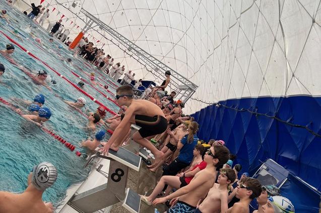 Schwimmer stehen am Beckenrand eines Hallenbads, während andere im Wasser trainieren. Überdachte Umgebung mit Netzen.