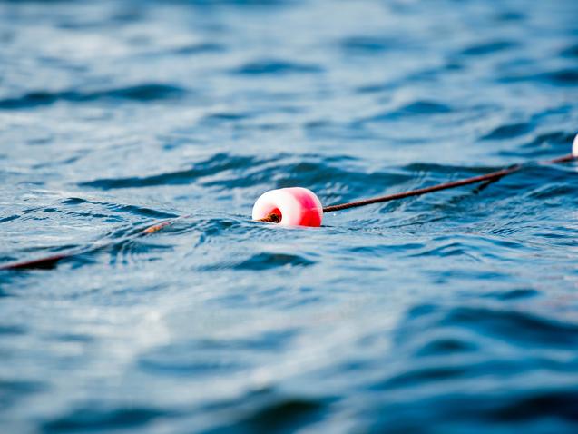 Rote Schwimmboje auf einer Schnur schwimmt auf der welligen Wasseroberfläche.